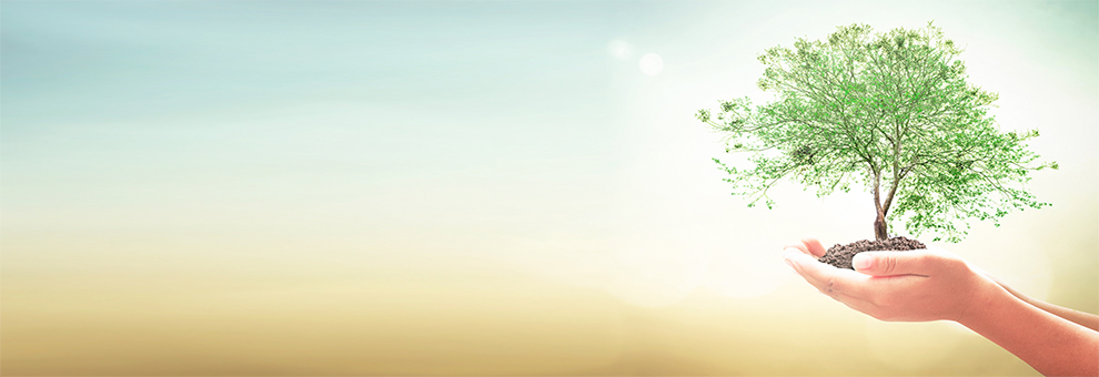 Gale In Context: Enviromental Studies