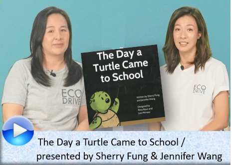 The Day a Turtle Came to School