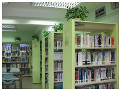 Tai O Public Library ( Small Library )2 Tai O Public Library ( Small Library )2