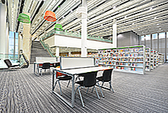 調景嶺公共圖書館(分區圖書館)2 調景嶺公共圖書館(分區圖書館)2