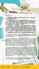 Cross Harbour Tunnel  (Content in Chinese Only) (Total 9 pages)