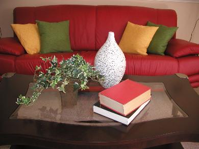 Library Collection 